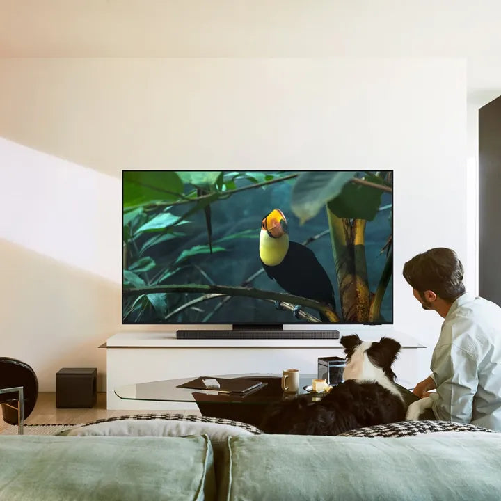 Samsung 55" S95F OLED 4K Smart TV (2025)
